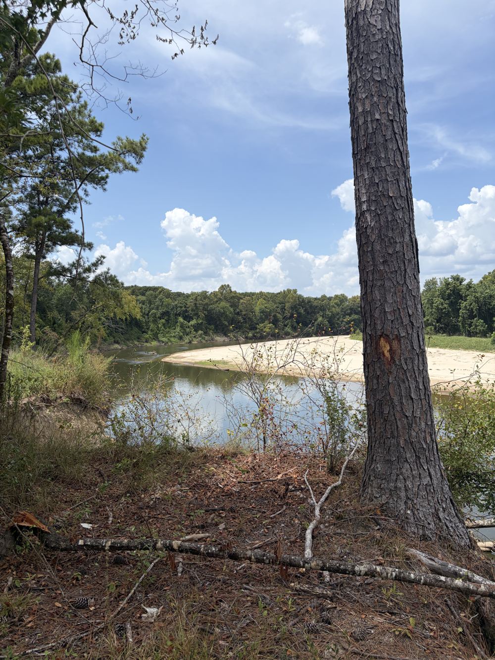 The Leaf River curving past a white sandbar, with pines on the bank at Riverfront Retreat